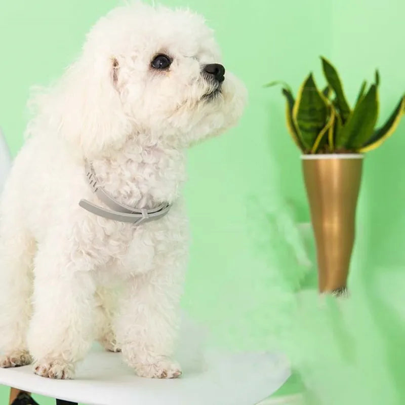 Fleafree Pet Collar